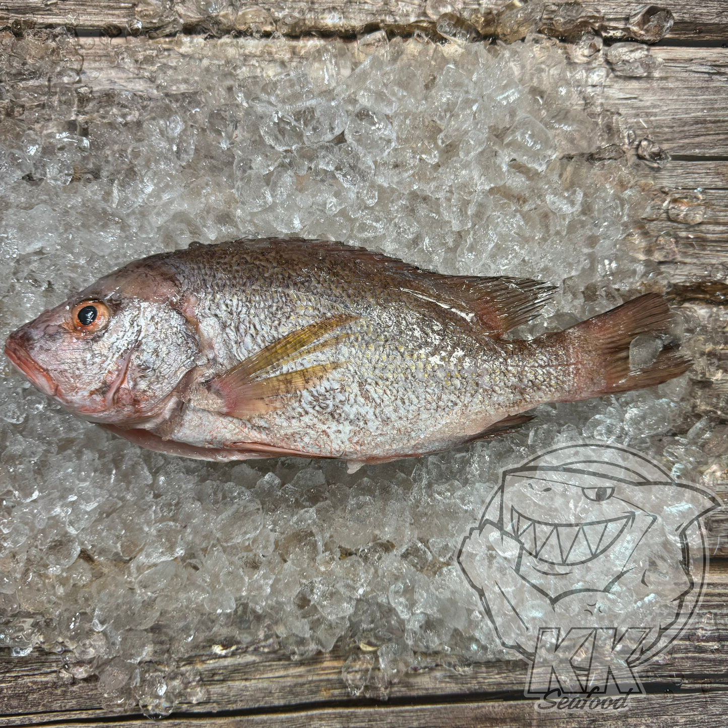 Red Snapper Whole Fish Cleaned and Gutted (600g -700g)