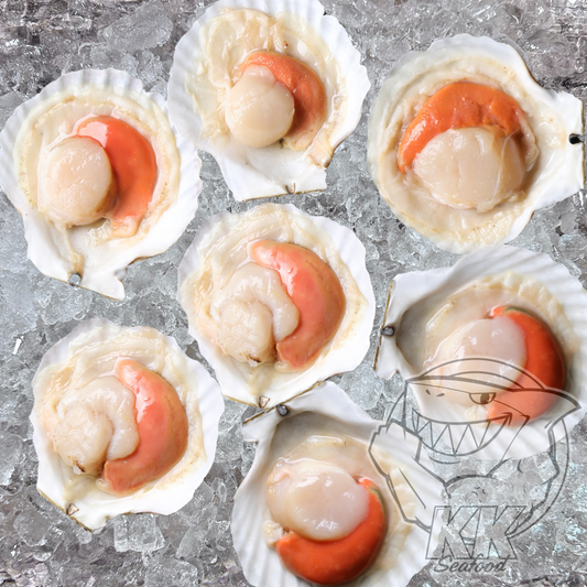 Half Shell Scallop with Roe