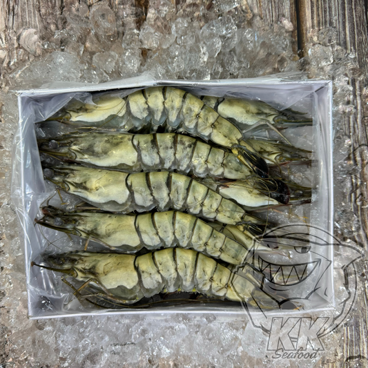 Extra Jumbo Frozen Tiger Sea Prawn (1pkt)