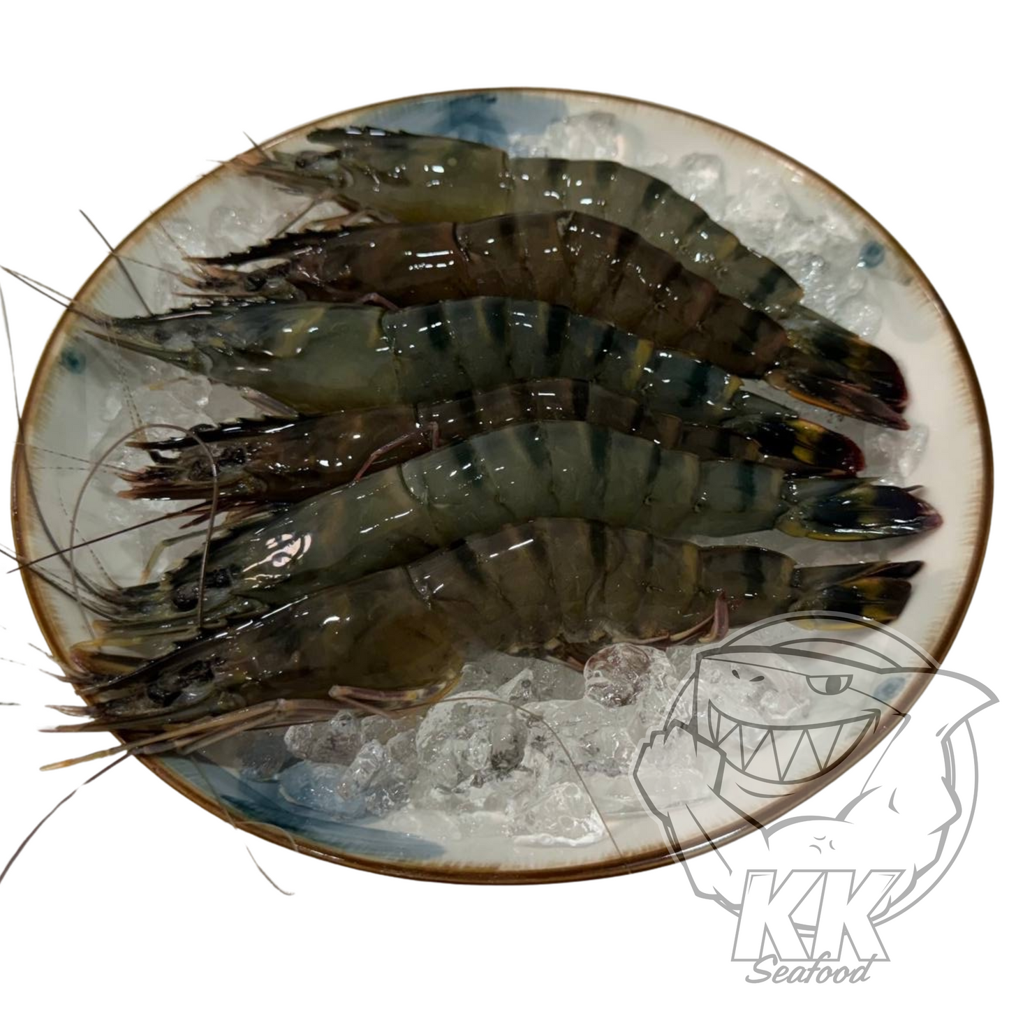 [BUNDLE] Big Live Tiger Prawn