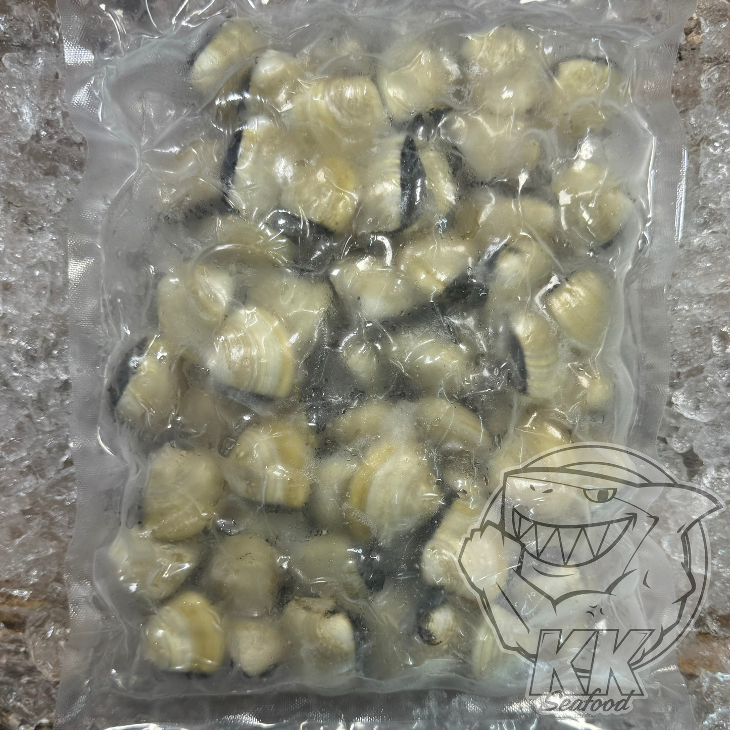 White Clam